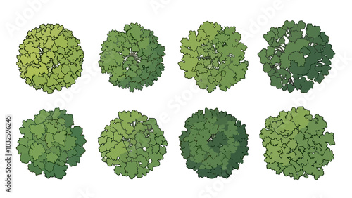 Set of Eight Detailed Top View Trees Variety of Green Foliage, Vector Illustration