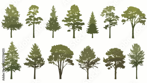 Diverse Silhouette Set of Trees Spruce, Pine, and Oak Varieties in Various Forms