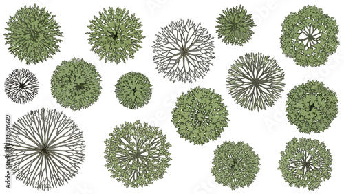 Collection of stylized top-down illustrations of various trees and plants