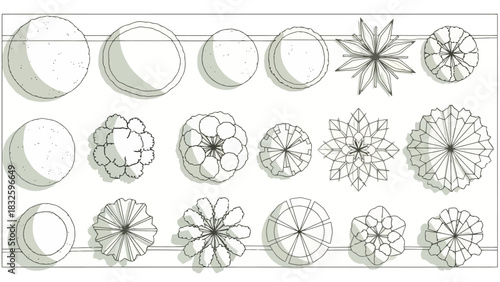 Collection of stylized top-down tree illustrations for architectural and landscape design plans