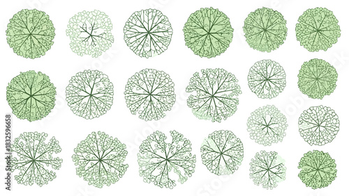 Collection of top-down views of green trees, showcasing diverse canopy shapes and branch patterns