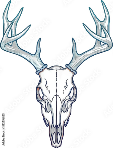 Adobe Illustrator Artwork