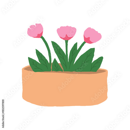 Hand drawn pink tulip flowers in a pot vector isolated on white background