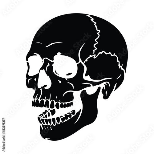 A black and white skull, showcasing a skeletal head with open mouth and visible teeth, set against a clean backdrop