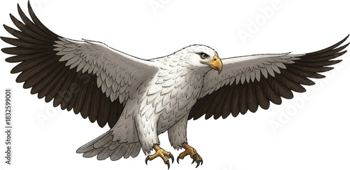 Adobe Illustrator Artwork