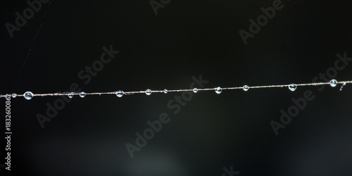 Water drops hanging on spider web thread