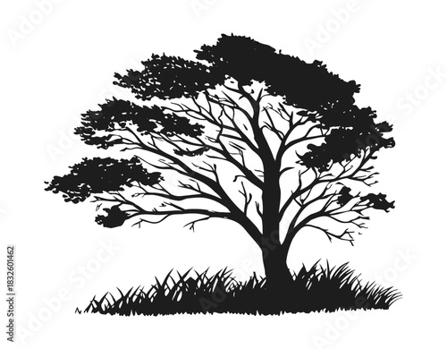 A detailed black silhouette of a tree with grass at its base on a plain white background
