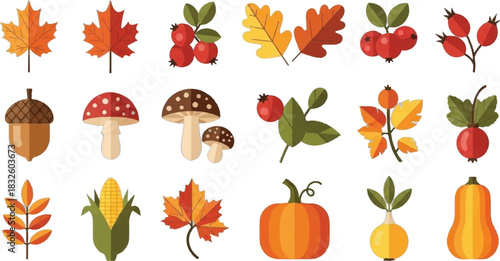 Adobe Illustrator Artwork