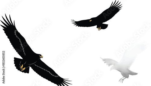 Adobe Illustrator Artwork