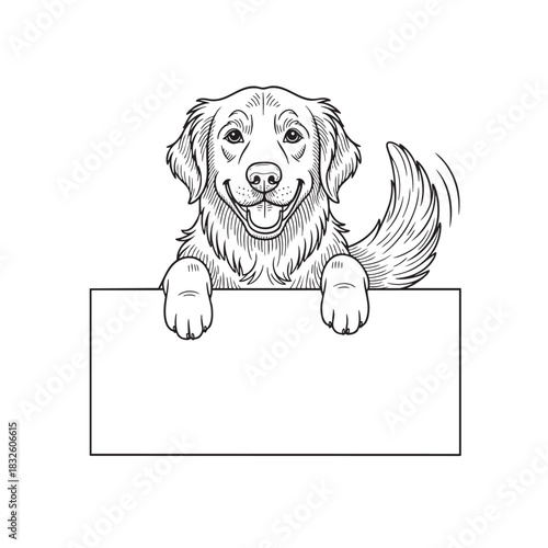 Clean white background great for overlaying text or other design elements