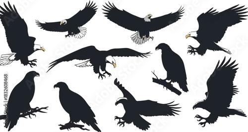 Adobe Illustrator Artwork