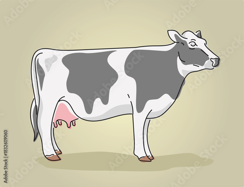 female cows retro vector illustration. female cattle vintage vector graphic design