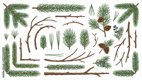 Hand drawn pine branches, twigs and cones set. Botanical winter forest elements illustration collection isolated on white background.