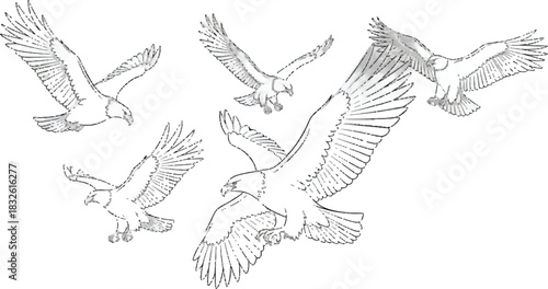 Adobe Illustrator Artwork