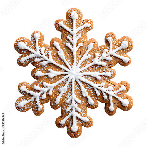 Gingerbread snowflake cookie