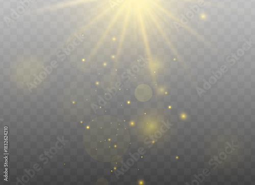 Soft golden light rays with warm glow particles on a transparent background