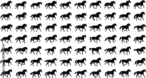 Massive collection of running horse black silhouettes, various galloping and trotting movement poses, equestrian sport animal figures, wild mustang or stallion vector design set, isolated background.