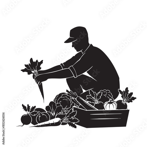 Farmer Harvesting Fresh Vegetables Vector Silhouette Agricultural Worker Gathering Produce