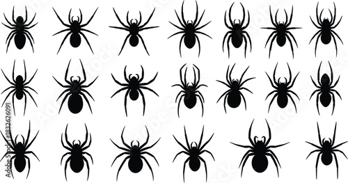 Set of twenty-one terrifying black spider vector silhouettes in various aggressive and crawling poses, representing fear, Halloween, insects, venom, dangerous pests, and arachnid 