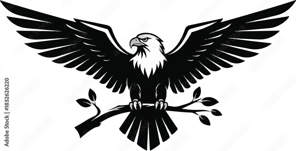 Fototapeta premium Adobe Illustrator Artwork