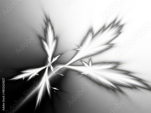 Glowing White Abstract Fractal Plant Form image photo