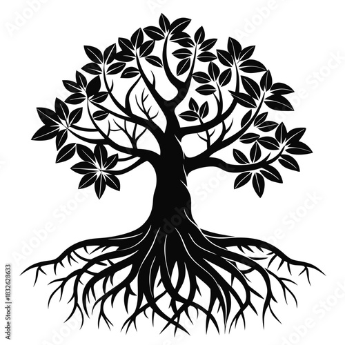 Elegant black tree with broad roots and dense foliage presents a striking silhouette