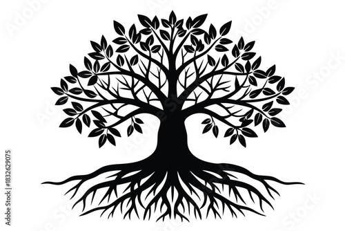 Tree of life displays an intricate system of roots and branches with leaves