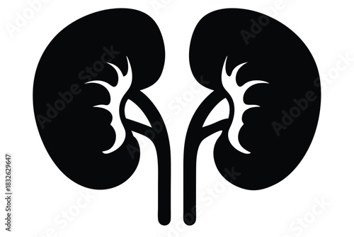 Human kidneys depicted in a simple black silhouette offer clear, anatomical representation