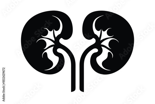 Isolated stylized black kidneys provide an abstract silhouette view on a stark white background