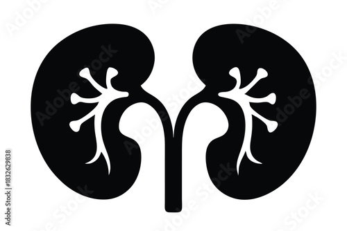 A monochrome presents a minimalist stylized anatomical kidneys against a plain white background