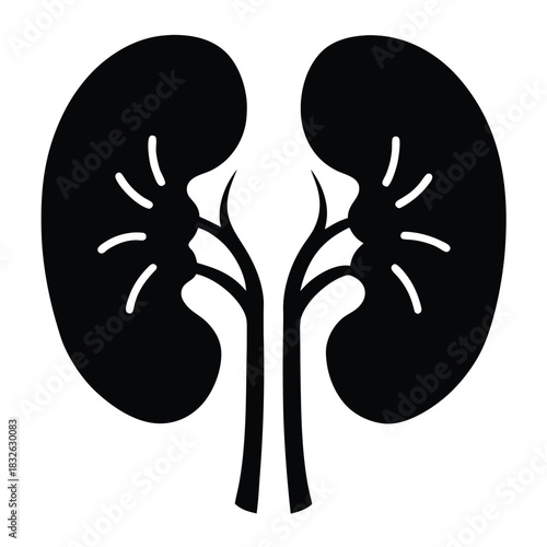 Solid black kidney icon shows renal anatomy on a plain white surface