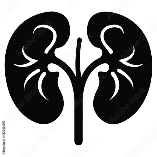 Black kidney icon shows human renal anatomy in an abstract silhouette