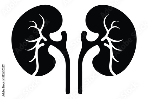 Kidney pair features detailed white venous structure in a simple solid black silhouette