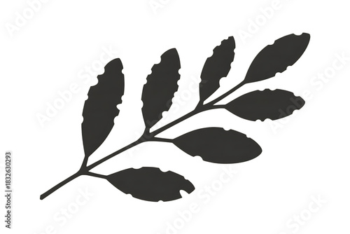 Dark gray stylized branch with leaves isolated on transparent background