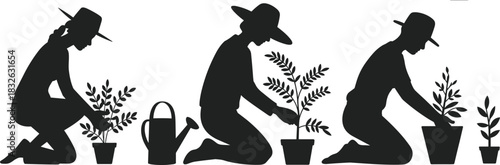Collection of three female gardeners in hats kneeling, planting small trees and plants in pots.