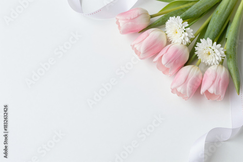 Fresh pink tulips and delicate white filler flowers with a flowing white ribbon arranged on a clean white background, perfect for spring or romantic designs