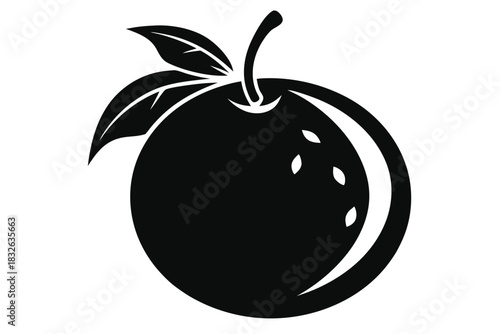 Single black round fruit displays leaves with stem in a simplified style