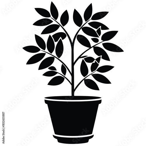 Black leafy plant in a pot displays simplistic beauty on a white background