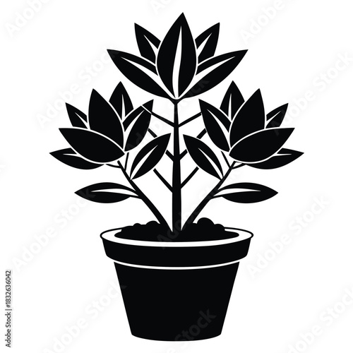 Black silhouette showcases a botanical plant featuring three blossoms nestled in a pot