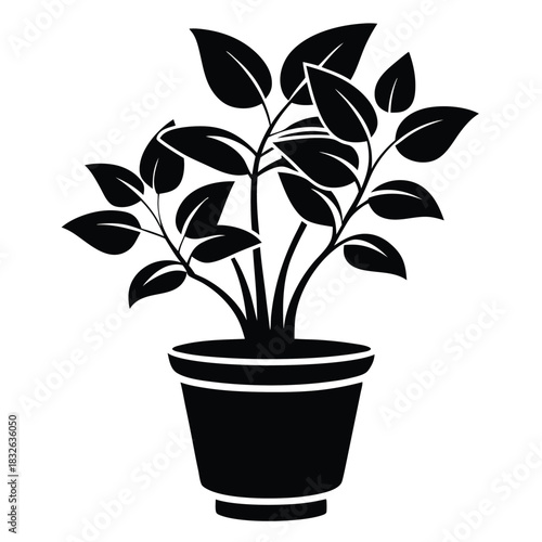 A potted houseplant with green leaves appears as a detailed monochrome silhouette