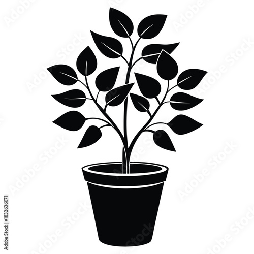 Black silhouette of a potted plant with leaves on a white background is displayed