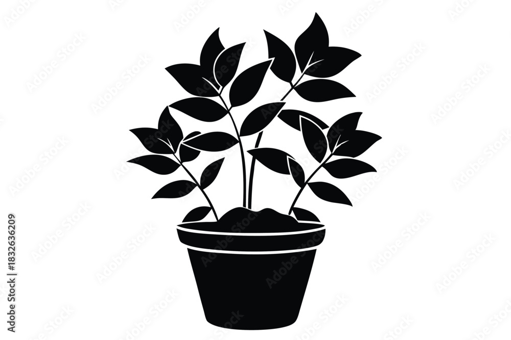 Obraz premium Black silhouette reveals a potted plant with soil and branches filled with green leaves