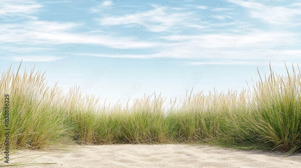 Fototapeta premium Minimal serene dune grass landscape with soft sky and sandy foreground