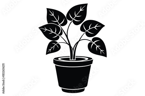 Monochrome potted plant displays broad leaves having visible veins in a simple graphic