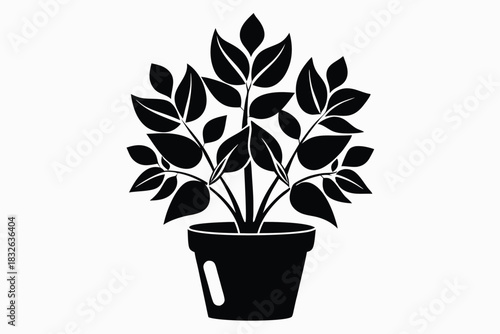 Elegant plant silhouette with lush leaves resides beautifully in a simple pot