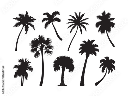 Palm Tree Silhouette Set | Tropical Coconut Tree Icons