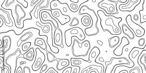 Abstract black and white topographic map pattern with swirling organic lines and contours