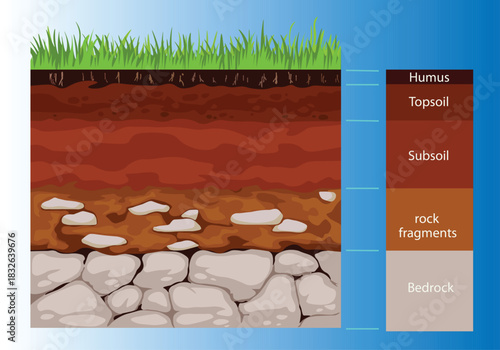 Infographics of soil layers, geological formation of the earth. The concept of layers below the surface of the ground