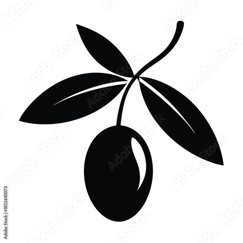 Aromatic black olive hanging with simple leaves creates minimalist organic style effectively