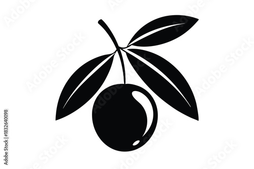 A single black olive hangs gracefully with three leaves on a white background